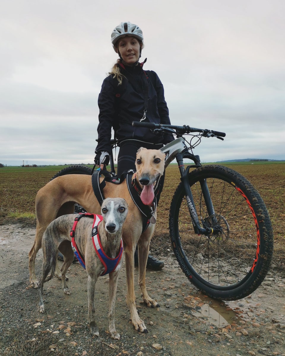 Cani VTT : Tout l'équipement Pour Faire du Vélo Avec Son Chien